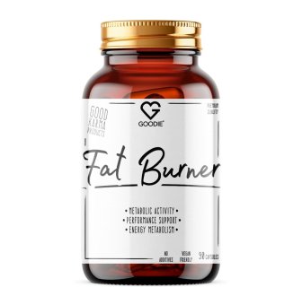 Spalovač tuků Fat Burner 90 kapslí