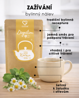 Bylinný čaj - Trávenie - 50 g SK