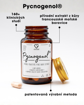 Pycnogenol - ekstrakt z kory francuskiej sosny morskiej - French Maritime Pine Bark extract - 30 szt. PL