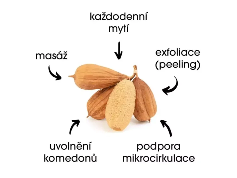Luffa ze sznurkiem PL