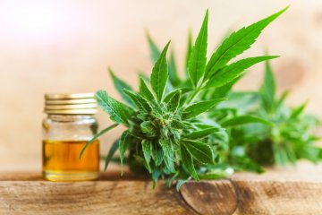 CBD olej, klíč ke zdraví v 1 kapce