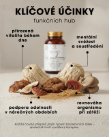 Vitálne huby - Ultimátny komplex - 5 synergických druhov - duálne extrakty - 60 kapsúl SK