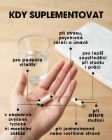 Aktívny B-Komplex – Metylované formy (5-MTHF, 3× B12) – 30 kapsúl SK