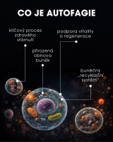 Spermidin - buněčná obnova a regenerace - 60 kapslí CZ