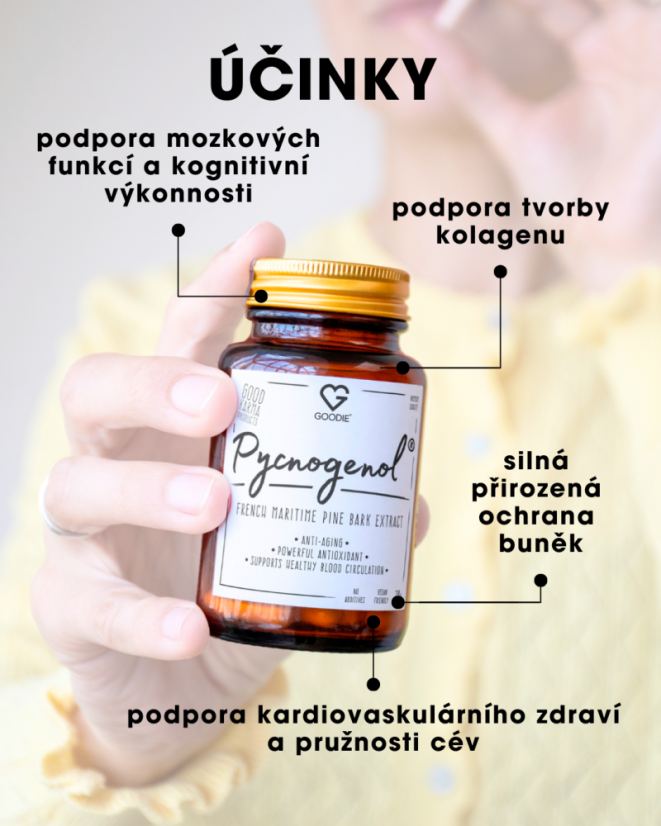 Pycnogenol - extrakt z kůry francouzské mořské borovice - French Maritime Pine Bark extract - 30 ks