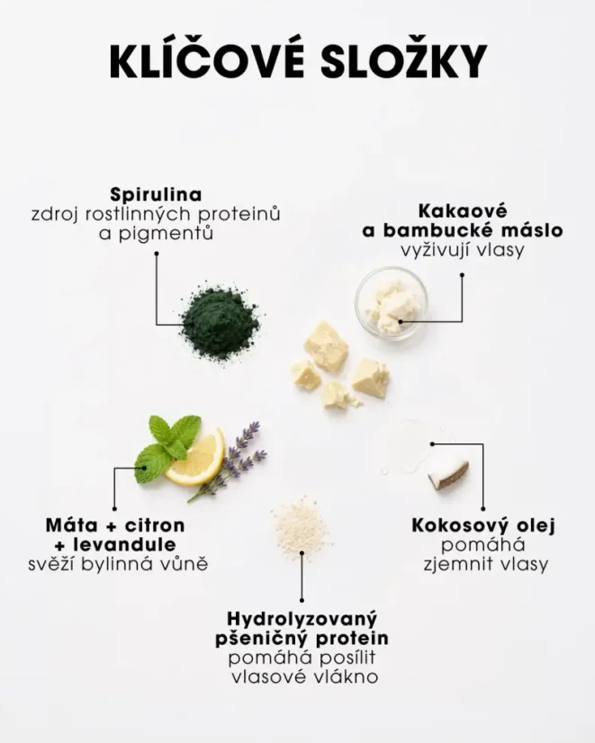 Tuhý šampon - Minty Spirulina 45 g