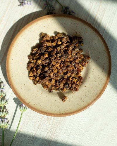 Včelí perga - fermentovaný pyl BIO 100 g