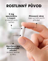 Spermidin - buněčná obnova a regenerace - 60 kapslí CZ