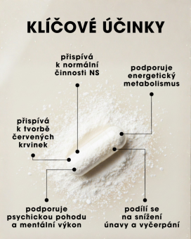 Aktívny B-Komplex – Metylované formy (5-MTHF, 3× B12) – 30 kapsúl SK
