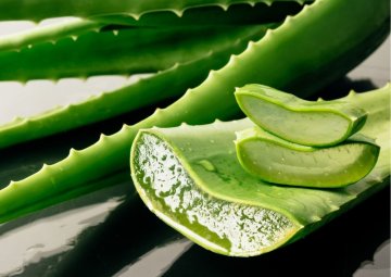 Aloe vera, prírodný zázrak (nielen) pre krásnu pleť