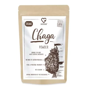 Chaga BIO - sproszkowana czaga syberyjska 100 g PL