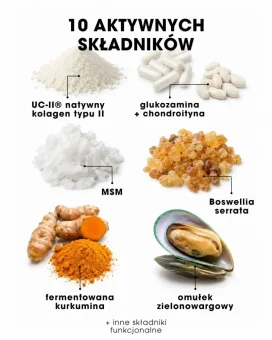 PL Joint SuperPower skład produktu - MSM, kurkuma, natywny kolagen