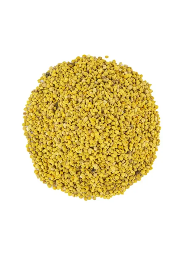 Včelí pyl BIO 100 g CZ