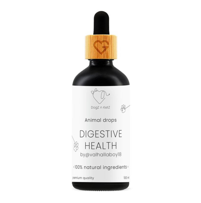 DogZ n KetZ - Přírodní kapky pro psy - zažívání 100 ml_2