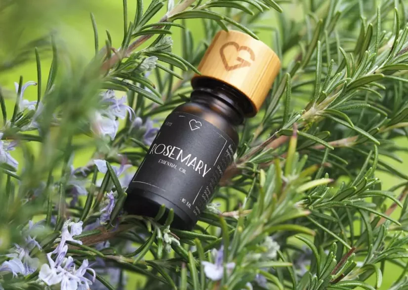 Olejek eteryczny BIO - Rozmaryn - Organic Essential oil - Rosemary 10 ml PL