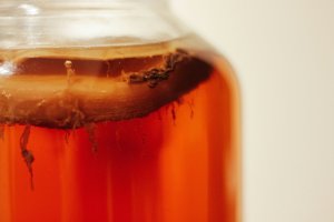 Jak posílit imunitu a trávení pomocí přírodních probiotik: vybrali jsme 3 nejlepší způsoby pro rok 2025