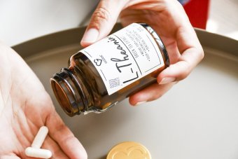 L-Theanine - prémiový extrakt ze zeleného čaje - Theapure® - kapsle 60 ks CZ