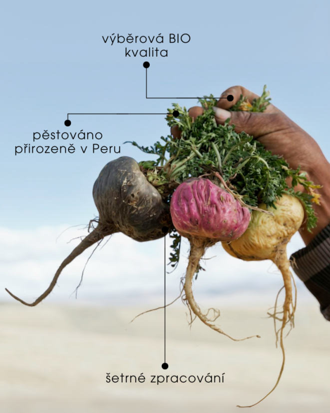 Maca KAPSULY 4x Power BIO 150 ks SK