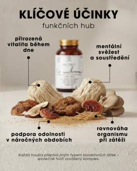 Vitální Houby - Ultimátní komplex - 5 synergických druhů - dualní extrakty - 60 kapslí CZ