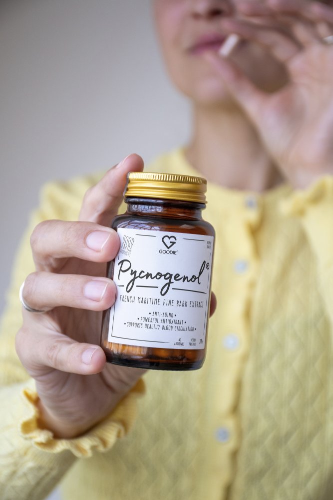 pycnogenol 2